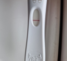 All I want for Christmas is a BFP- TTC September baby 🍁