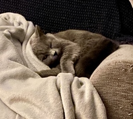 Lifeboat Muster Point for TalkExiles - Thread 2