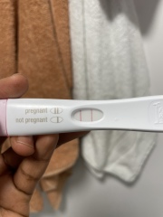 Please help, I'm Scared. 15DP5DT Bleed