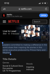 Yet another Netflix production from H&M