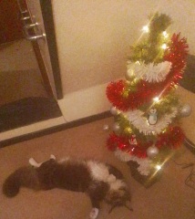 Come and tell me your dull and unexciting news 24: Calmly through the day 