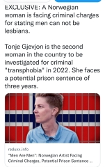Christina Ellingsen, WDI Norway, faces up to three years in prison for "hateful" tweets about a male lesbian