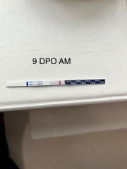 Anyone 2-3 dpo and want to chat?! 🎄