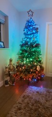 What colour lights do you have on your tree?