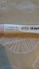 Due end of Aug/Sept babies 🤞🏻