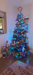What colour lights do you have on your tree?