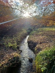 Come chat hiking with me!