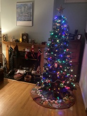 Come and tell me your dull and unexciting news 24: Calmly through the day 