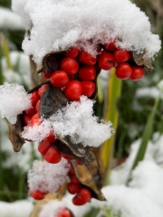 Lifeboat Muster Point for TalkExiles - Thread 2