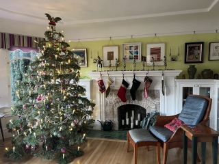 Show me your Christmas tree / decorations please. In need of inspiration