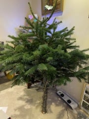 In thinking no-one else's husband is as big a berk as mine?