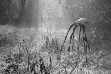 Thread 1 - Lifeboat Muster Point for TalkExiles