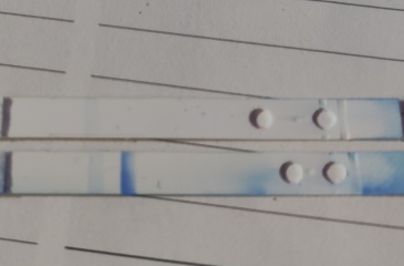 Faint line ?? Or testing too early ??
