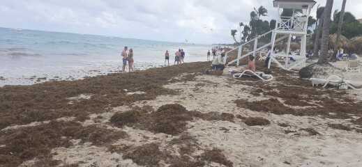 Anyone been to Dominican Republic recently?