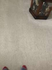 Is this a flaw in my carpet?