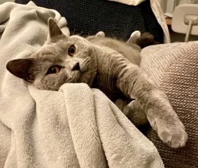 Lifeboat Muster Point for TalkExiles - Thread 2