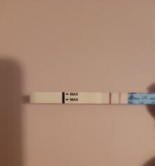 Clomid TTC