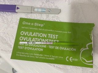 Is this ovulation test positive? (Pic)
