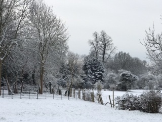 Come and tell me your dull and unexciting news 24: Calmly through the day 