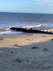 Come and tell me your dull and unexciting news 24: Calmly through the day 