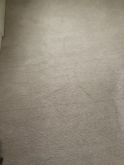 Is this a flaw in my carpet?