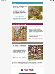 To ask you to please help hedgehogs and other wildlife prepare for winter