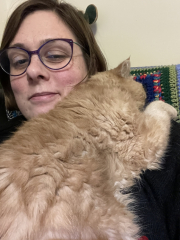 One Cosy Cat