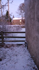 Is it snowing where you live?