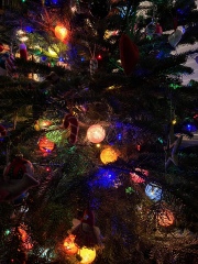 What colour lights do you have on your tree?