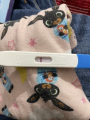 Can anyone see this or just me ???