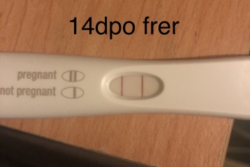Pregnancy after 2 very early miscarriages/CPs