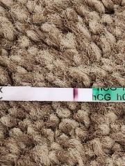 2 lines on first response but negative digital