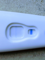 Evap line or Progesterone time?