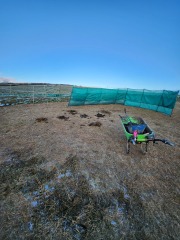 To feel sorry for people with horses?