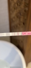 Ovulation test opinion