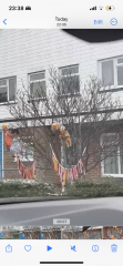 Weird dolls hanging on neighbours tree?