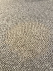 Carpet stains - any suggestions?
