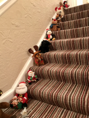 Week 8 - Pre-Christmas 22 Boot Camp: the last week!