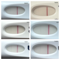 ERA EMMA ALICE testing thread #6