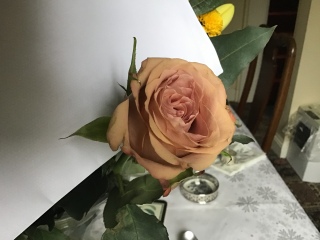Rose ID