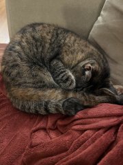 Thread 3 - TalkExiles: "The Planet Goes On Being Round"