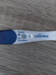 Third pregnancy feels.. odd?