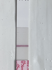 Anyone 2-3 dpo and want to chat?! 🎄