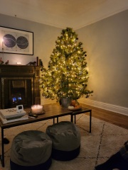 Show me your Christmas tree / decorations please. In need of inspiration