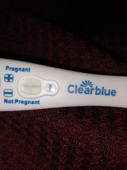 Clearblue