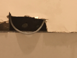 Cat in the ceiling...help!
