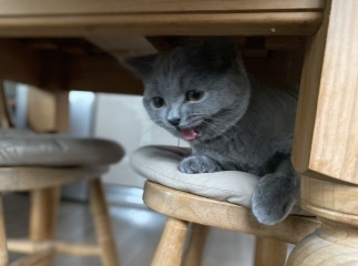 Thread 3 - TalkExiles: "The Planet Goes On Being Round"