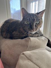 Thread 3 - TalkExiles: "The Planet Goes On Being Round"