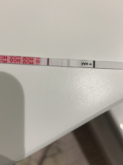 Serial tester - fell out with wondfo brand