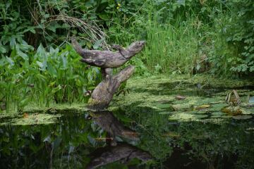 Thread 1 - Lifeboat Muster Point for TalkExiles